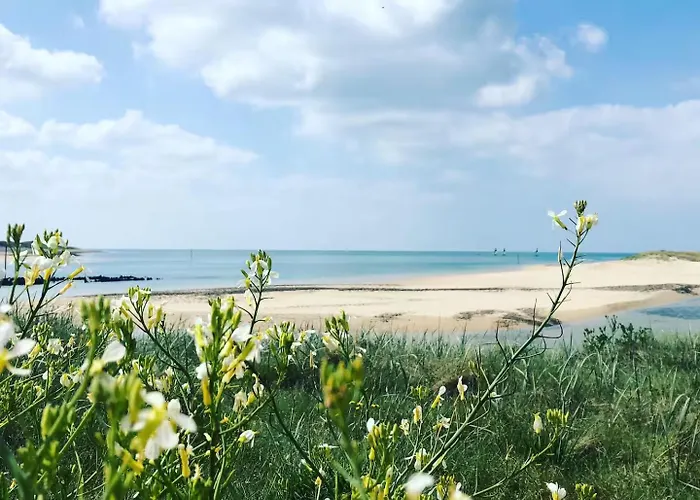 Le Petit De La - Terrasse & Jardinet